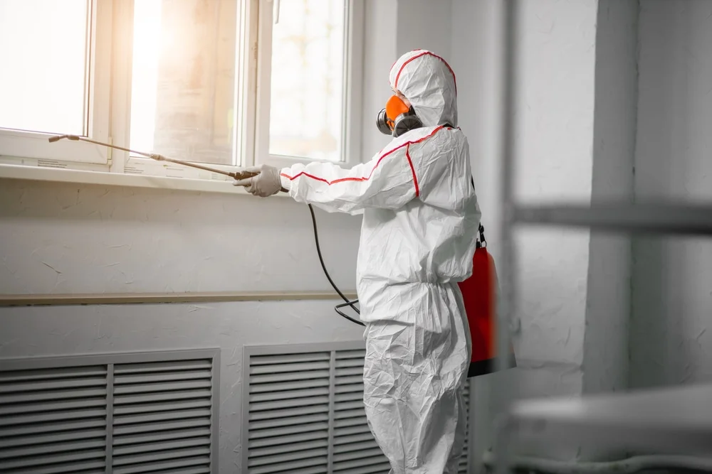 Professional mold remediation services in Wenham, MA